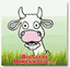 BUGGIANI DOMENICO S.R.L. – company logo, company info header