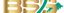 BIKRAM TRADING CONCERN – company logo, company info header