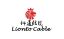 Dongguan Lionto Technology Co., Ltd. – company logo, company info header