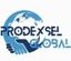 Prodexsel Global Pvt Ltd  – company logo, company info header