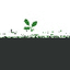DARTFOREST TREE WORKS LTD. – company logo, company info header