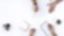 ATALA CARIBE SA DE CV – company logo, company info header