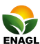Nissi Agro Global Limited – company logo, company info header