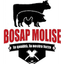 LA NUOVA BOSAP MOLISE SRL – company logo, company info header