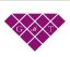 GOOD META DISPLAY (HK) CO., LIMITED – company logo, company info header