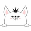 VERY CHIC DOG – company logo, company info header