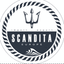 SCANDITA  EUROPE IMPORT - EXPORT – company logo, company info header