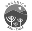 ANTINORI CHILE SPA – company logo, company info header
