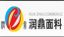 Dongguan Blooming Trade Limited – company logo, company info header