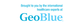 BLUISH GLOBAL CO.,LTD – company logo, company info header