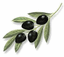 CAPTOL EUROPE 2000 EURL – company logo, company info header