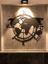 HOTEL DEUTSCHES HAUS, ALTENBRUCH INH. ERHARD HOLTHUSEN – company logo, company info header