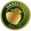 ORHEI-VIT – company logo, company info header