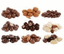 PREMIUM FOODS – company logo, company info header