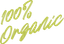 AS IMPEX GENERAL TRADING FZCO – company logo, company info header