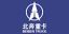BEIBEN TRUCKS GROUP CO., LIMITED – company logo, company info header