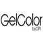 ASIA NAILS AND BEAUTY SUPPLY LTD – company logo, company info header