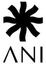 A. N. FASHIONS – company logo, company info header
