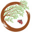 ECORIZEN, LDA – company logo, company info header