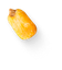 BARBERA SNACKS S.L – company logo, company info header