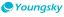 Hangzhou Youngsky Technology Co., Ltd. – company logo, company info header
