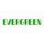 Wuhan Evergreen Electronic Technology Co., Ltd. – company logo, company info header
