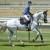BARTON EQUINE LTD – company logo, company info header