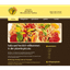 PICCOLA PIZZERIA – company logo, company info header