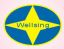 NANTONG WELLSING TRADE CO., LTD. – company logo, company info header