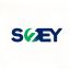 Shenzhen Shangyi Jinggong Technology Co., Ltd. – company logo, company info header