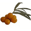 IVAS MIHAI PFA – company logo, company info header