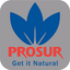 PRODUCTOS SUR S.A. – company logo, company info header
