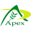 APEX INTERNATIONAL EXPORTS – company logo, company info header