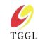 Henan Taiguo Boiler Group Co., Ltd – company logo, company info header