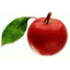 BIVAS PRIM SRL – company logo, company info header