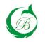 Haining Bairui Import And Export Co., Ltd. – company logo, company info header