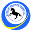 BLACK STALLION GENERAL TRADING LLC – company logo, company info header