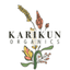 KARIKUN DIS TICARET VE MÜHENDISLIK LIMITED SIRKETI – company logo, company info header