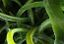 BREDE NUTRITION CO LTD – company logo, company info header