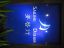 Guangzhou Sailing Dream Im And Ex C – company logo, company info header