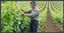 AGROEXIM DOO – company logo, company info header