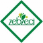 ALYANS YAŞ SEBZE MEYVE LTD.STI – company logo, company info header