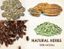 BABULAL SARABHAI & COMPANY – company logo, company info header