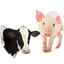 AGROMAX FOOD DMCC – company logo, company info header