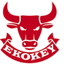 EKOKEY DOO – company logo, company info header
