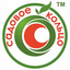 SADOVOE KOLTSO LTD – company logo, company info header