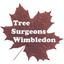 TREE SURGEONS WIMBLEDON – company logo, company info header