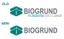 BIOGRUND INTERNATIONAL AG – company logo, company info header