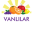 SEVINC YAS MEYVE SEBZE – company logo, company info header
