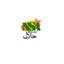 NSA HALAL – company logo, company info header